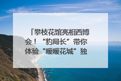攀枝花馆亮相西博会！“豹局长”带你体验“暖暖花城”独特魅力｜西博视界
