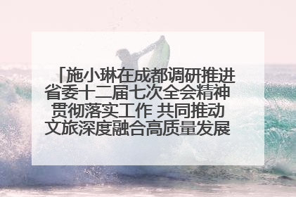 施小琳在成都调研推进省委十二届七次全会精神贯彻落实工作 共同推动文旅深度融合高质量发展 加快打造支柱产业民生产业幸福产业