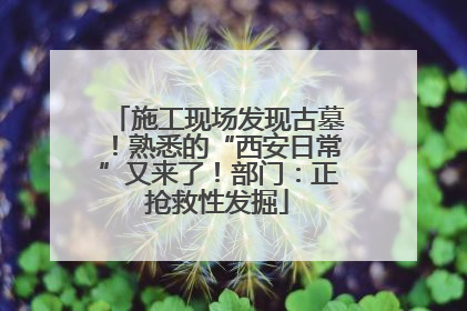 施工现场发现古墓！熟悉的“西安日常”又来了！部门：正抢救性发掘