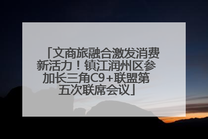 文商旅融合激发消费新活力！镇江润州区参加长三角C9+联盟第五次联席会议