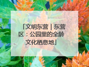 文明东营｜东营区：公园里的全龄文化栖息地