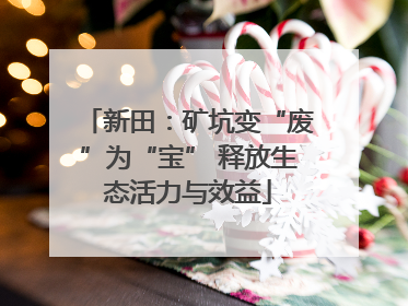 新田：矿坑变“废”为“宝” 释放生态活力与效益