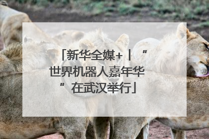 新华全媒+丨“世界机器人嘉年华”在武汉举行