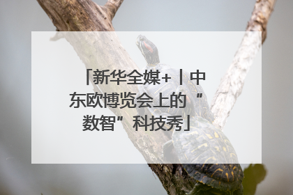 新华全媒+丨中东欧博览会上的“数智”科技秀
