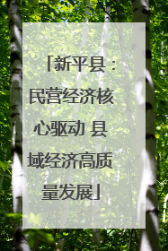 新平县：民营经济核心驱动 县域经济高质量发展