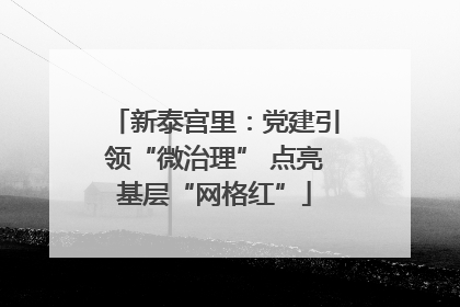 新泰宫里：党建引领“微治理” 点亮基层“网格红”