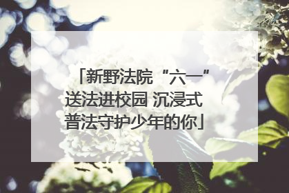 新野法院“六一”送法进校园 沉浸式普法守护少年的你