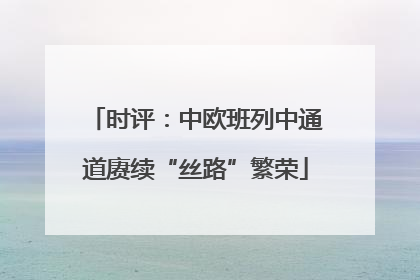时评：中欧班列中通道赓续“丝路”繁荣