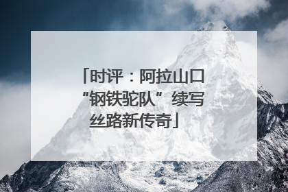 时评：阿拉山口“钢铁驼队”续写丝路新传奇