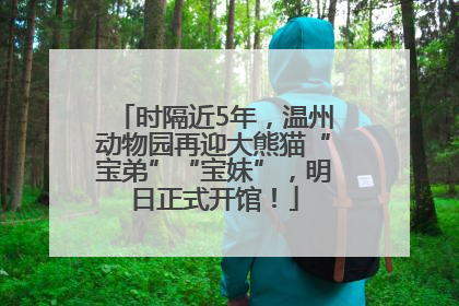 时隔近5年，温州动物园再迎大熊猫“宝弟”“宝妹”，明日正式开馆！