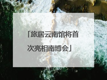 旅居云南馆将首次亮相南博会