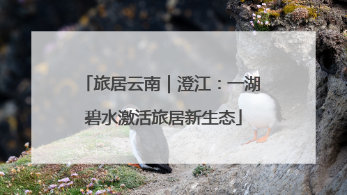 旅居云南｜澄江：一湖碧水激活旅居新生态