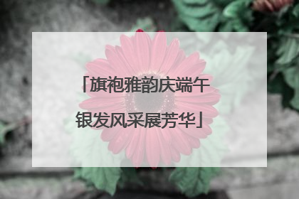 旗袍雅韵庆端午 银发风采展芳华