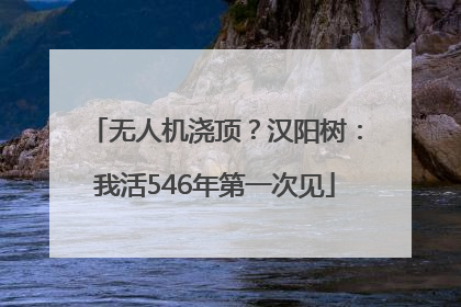 无人机浇顶？汉阳树：我活546年第一次见