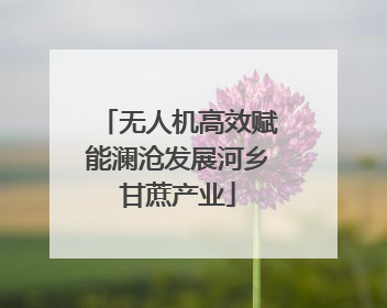 无人机高效赋能澜沧发展河乡甘蔗产业