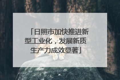 日照市加快推进新型工业化，发展新质生产力成效显著