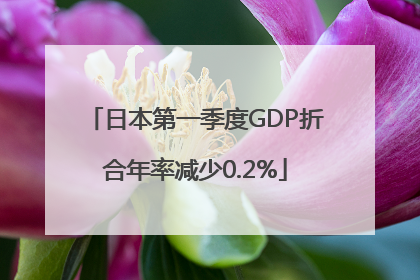 日本第一季度GDP折合年率减少0.2%