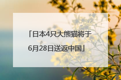 日本4只大熊猫将于6月28日送返中国