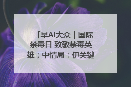 早AI大众｜国际禁毒日 致敬禁毒英雄；中情局：伊关键核设施被摧毁