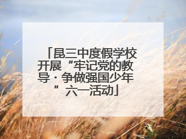 昆三中度假学校开展“牢记党的教导・争做强国少年”六一活动