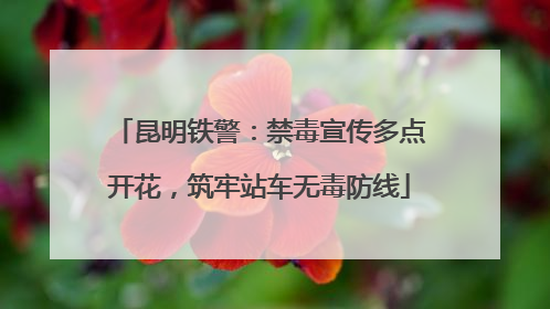 昆明铁警：禁毒宣传多点开花，筑牢站车无毒防线