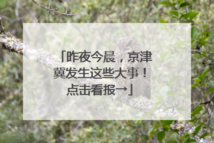 昨夜今晨，京津冀发生这些大事！点击看报→