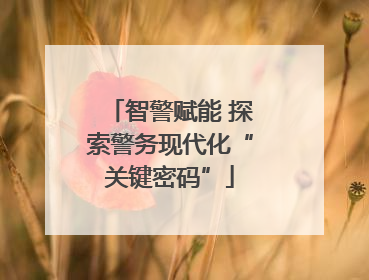 智警赋能 探索警务现代化“关键密码”