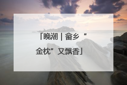 晚潮｜畲乡“金枕”又飘香