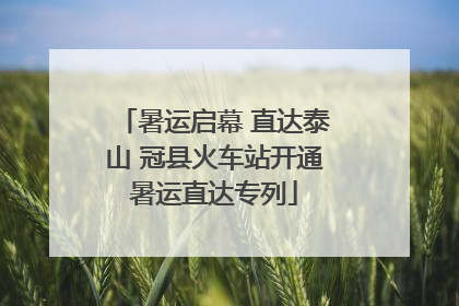暑运启幕 直达泰山 冠县火车站开通暑运直达专列