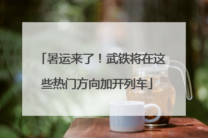 暑运来了！武铁将在这些热门方向加开列车