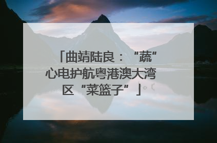 曲靖陆良：“蔬”心电护航粤港澳大湾区“菜篮子”