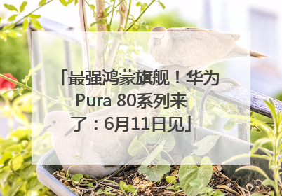 最强鸿蒙旗舰！华为Pura 80系列来了：6月11日见