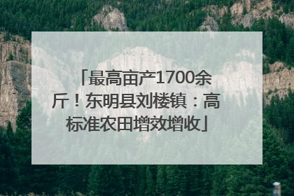 最高亩产1700余斤！东明县刘楼镇：高标准农田增效增收