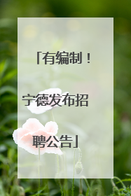 有编制！宁德发布招聘公告