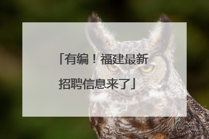 有编！福建最新招聘信息来了