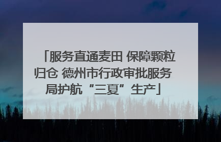 服务直通麦田 保障颗粒归仓 德州市行政审批服务局护航“三夏”生产