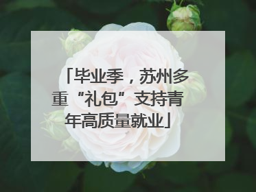 毕业季，苏州多重“礼包”支持青年高质量就业