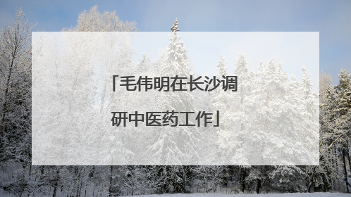 毛伟明在长沙调研中医药工作