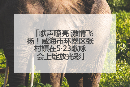歌声嘹亮 激情飞扬！威海市环翠区张村镇在5·23歌咏会上绽放光彩