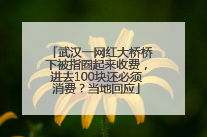 武汉一网红大桥桥下被指圈起来收费，进去100块还必须消费？当地回应