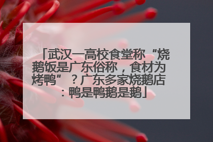 武汉一高校食堂称“烧鹅饭是广东俗称，食材为烤鸭”？广东多家烧鹅店：鸭是鸭鹅是鹅