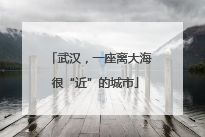 武汉，一座离大海很“近”的城市