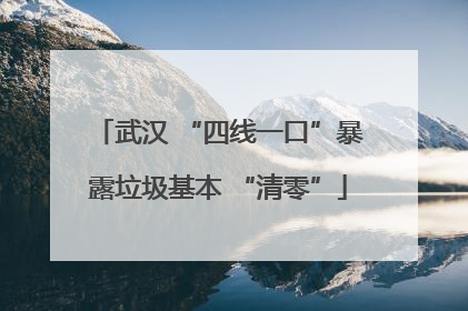 武汉 “四线一口”暴露垃圾基本 “清零”