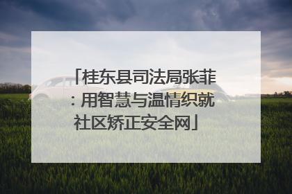 桂东县司法局张菲：用智慧与温情织就社区矫正安全网