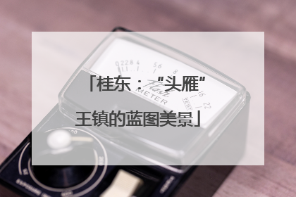 桂东：“头雁”王镇的蓝图美景