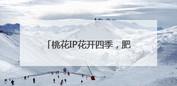 桃花IP花开四季，肥城打造全域旅游新标杆