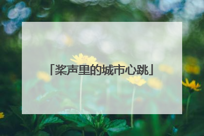 桨声里的城市心跳