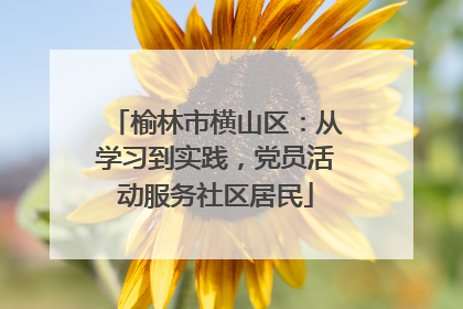 榆林市横山区：从学习到实践，党员活动服务社区居民