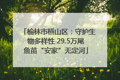 榆林市横山区：守护生物多样性 29.5万尾鱼苗“安家”无定河