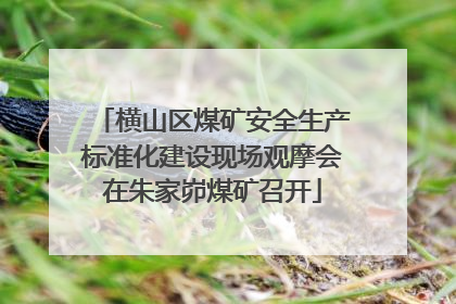 横山区煤矿安全生产标准化建设现场观摩会在朱家峁煤矿召开